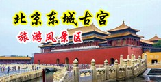 美少妇45p中国北京-东城古宫旅游风景区
